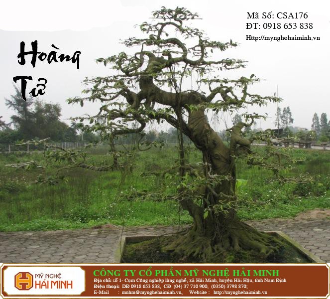 Do go my nghe Hai Minh - Hai Hau - Nam Dinh